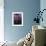 Purple Sky over Half Dome-Jim Zuckerman-Framed Photographic Print displayed on a wall