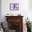 Purple Smoke-Nneirda-Framed Premium Giclee Print displayed on a wall