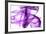 Purple Smoke-Nneirda-Framed Premium Giclee Print