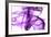 Purple Smoke-Nneirda-Framed Premium Giclee Print