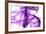 Purple Smoke-Nneirda-Framed Art Print