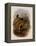 Purple Snowcap, Microchera Parvirostris-John Gould-Framed Premier Image Canvas