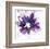 Purple Splash Flower-Elle Stewart-Framed Art Print