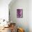 Purple Splatter-GI ArtLab-Framed Premier Image Canvas displayed on a wall