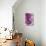 Purple Splatter-GI ArtLab-Giclee Print displayed on a wall