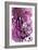 Purple Splatter-GI ArtLab-Framed Giclee Print