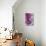 Purple Splatter-GI ArtLab-Mounted Giclee Print displayed on a wall