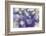 Purple Spotted Background-Saiva-Framed Photographic Print