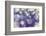 Purple Spotted Background-Saiva-Framed Photographic Print