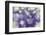 Purple Spotted Background-Saiva-Framed Photographic Print