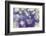 Purple Spotted Background-Saiva-Framed Photographic Print