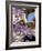 Purple Spring Flowers in Bloom, La Compania de Jesus, Antigua, Guatemala-Cindy Miller Hopkins-Framed Photographic Print