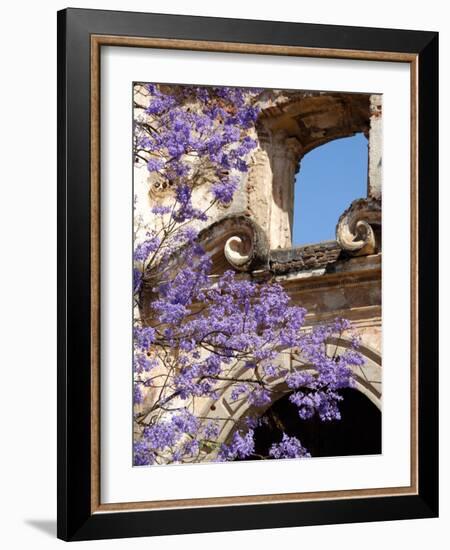 Purple Spring Flowers in Bloom, La Compania de Jesus, Antigua, Guatemala-Cindy Miller Hopkins-Framed Photographic Print