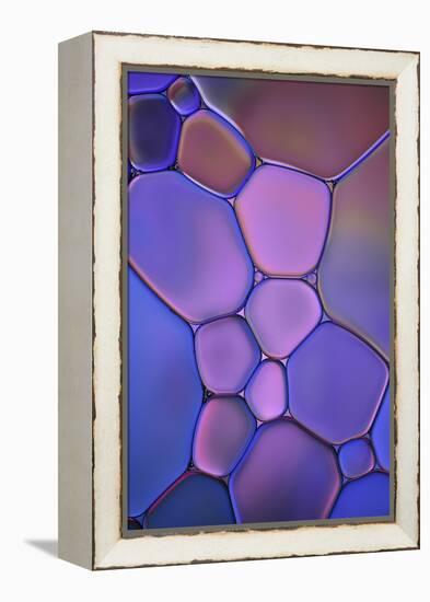 Purple Stained Glass-Cora Niele-Framed Premier Image Canvas