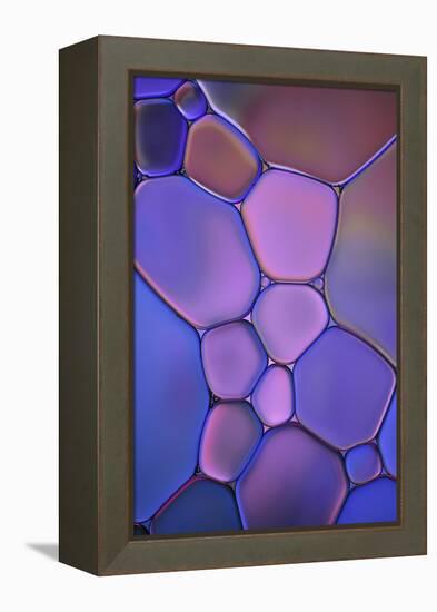 Purple Stained Glass-Cora Niele-Framed Premier Image Canvas