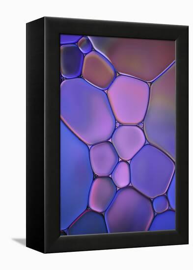 Purple Stained Glass-Cora Niele-Framed Premier Image Canvas