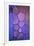 Purple Stained Glass-Cora Niele-Framed Photographic Print