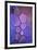 Purple Stained Glass-Cora Niele-Framed Photographic Print