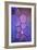 Purple Stained Glass-Cora Niele-Framed Photographic Print