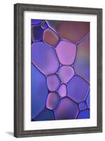 Purple Stained Glass-Cora Niele-Framed Photographic Print