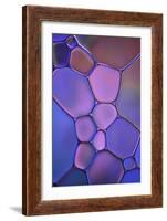 Purple Stained Glass-Cora Niele-Framed Photographic Print