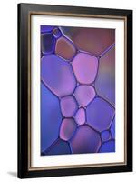 Purple Stained Glass-Cora Niele-Framed Photographic Print