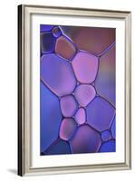 Purple Stained Glass-Cora Niele-Framed Photographic Print