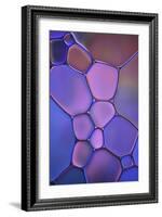 Purple Stained Glass-Cora Niele-Framed Photographic Print