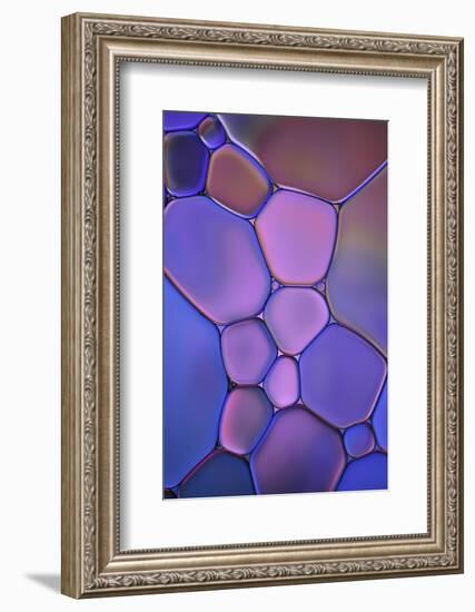 Purple Stained Glass-Cora Niele-Framed Photographic Print