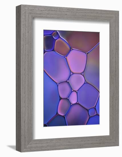 Purple Stained Glass-Cora Niele-Framed Photographic Print