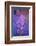 Purple Stained Glass-Cora Niele-Framed Photographic Print