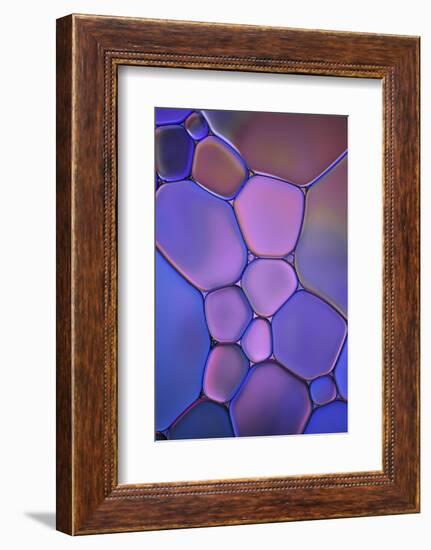 Purple Stained Glass-Cora Niele-Framed Photographic Print