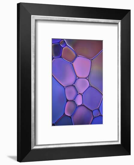 Purple Stained Glass-Cora Niele-Framed Photographic Print