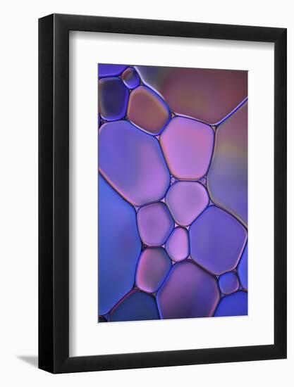 Purple Stained Glass-Cora Niele-Framed Photographic Print