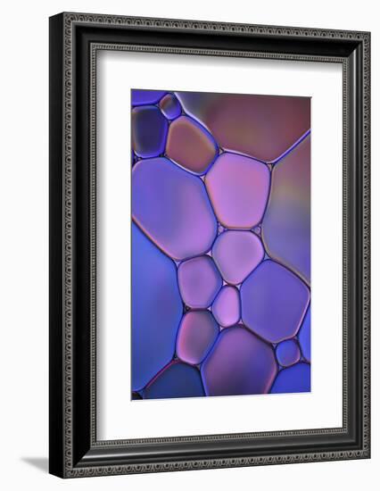 Purple Stained Glass-Cora Niele-Framed Photographic Print