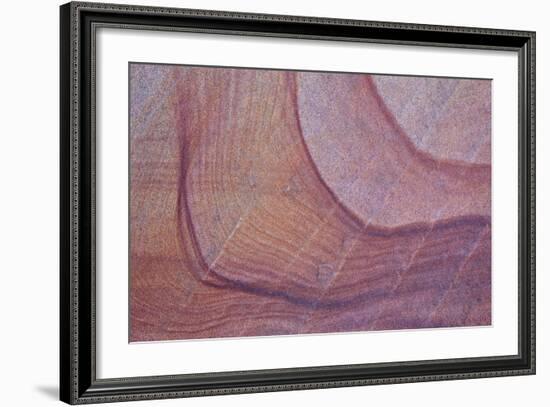 Purple Stains in Sandstone, Coyote Buttes Wilderness, Vermilion Cliffs National Monument-James Hager-Framed Photographic Print