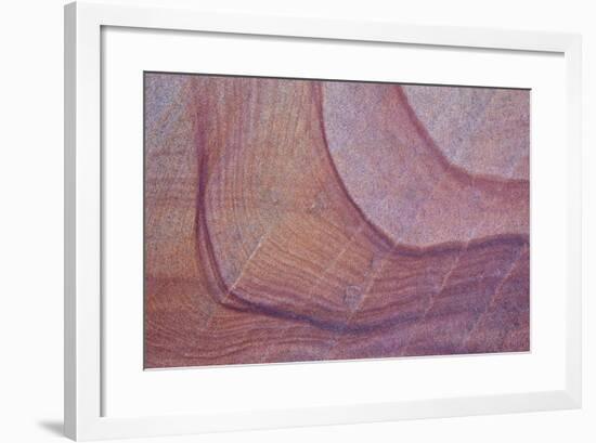 Purple Stains in Sandstone, Coyote Buttes Wilderness, Vermilion Cliffs National Monument-James Hager-Framed Photographic Print