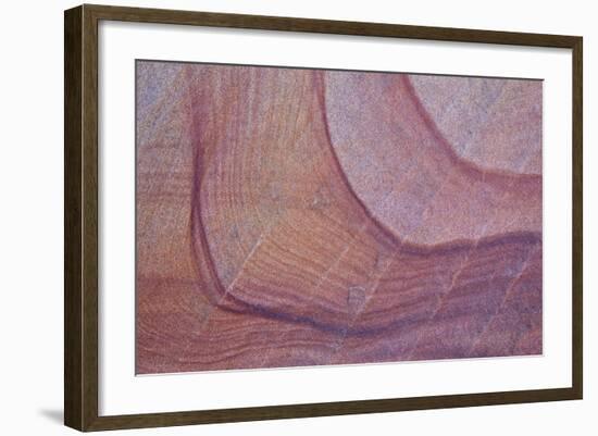 Purple Stains in Sandstone, Coyote Buttes Wilderness, Vermilion Cliffs National Monument-James Hager-Framed Photographic Print