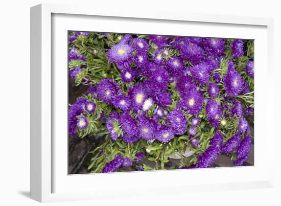 Purple Stars I-Maureen Love-Framed Photographic Print