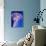 Purple-Stiped Jellyfish-null-Photographic Print displayed on a wall