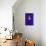 Purple Stoop-Tim Hayward-Giclee Print displayed on a wall