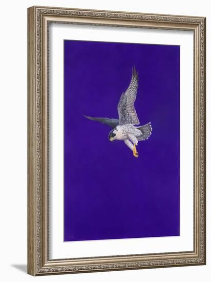 Purple Stoop-Tim Hayward-Framed Giclee Print