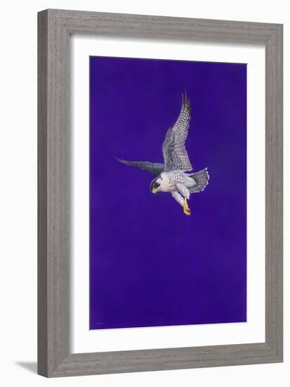 Purple Stoop-Tim Hayward-Framed Giclee Print