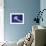 Purple Striped Jellyfish-null-Framed Premium Photographic Print displayed on a wall