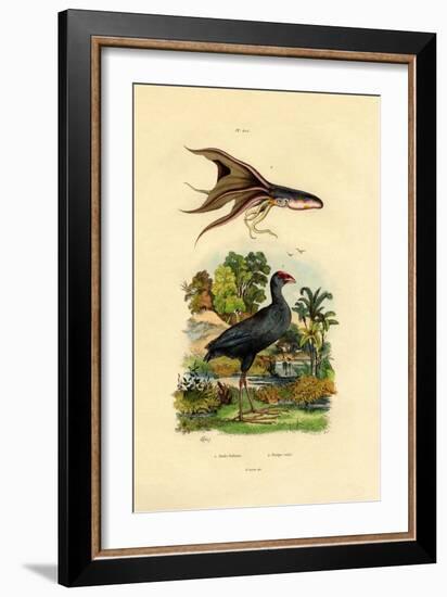 Purple Swamphen, 1833-39-null-Framed Giclee Print