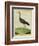 Purple Swamphen-Georges-Louis Buffon-Framed Giclee Print