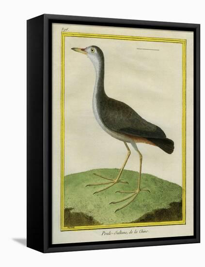 Purple Swamphen-Georges-Louis Buffon-Framed Premier Image Canvas