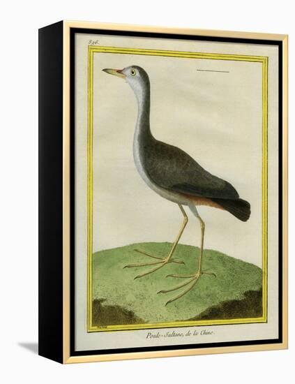 Purple Swamphen-Georges-Louis Buffon-Framed Premier Image Canvas