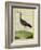 Purple Swamphen-Georges-Louis Buffon-Framed Giclee Print