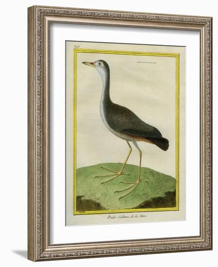 Purple Swamphen-Georges-Louis Buffon-Framed Giclee Print